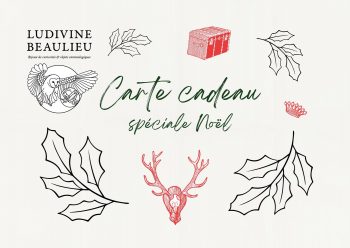 carte cadeau spéciale Noël